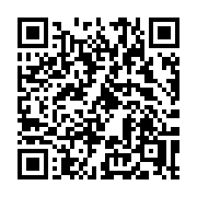 QR code linking to https://deploy-preview-3413--gohugoio.netlify.app/functions/openapi3/