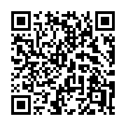 QR code linking to https://deploy-preview-3413--gohugoio.netlify.app/functions/debug/